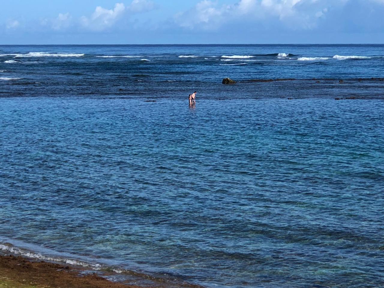 Mokule'Ia Beach Houses At Owen'S Retreat Waialua Eksteriør billede